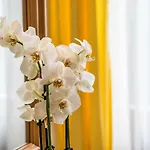 Central-hotel Kaiserhof 4*