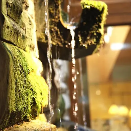 Central-hotel Kaiserhof