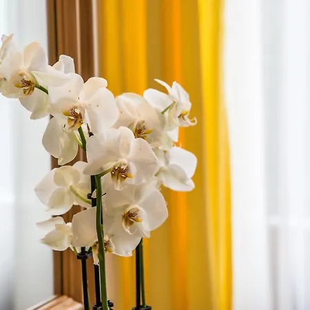 Central-hotel Kaiserhof 4*